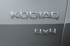 Škoda Kodiaq 2016