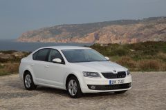 Škoda Octavia GreenLine 2014