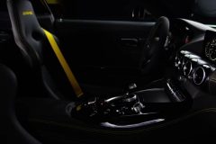 Mercedes-AMG GT R 2016 (teaser)
