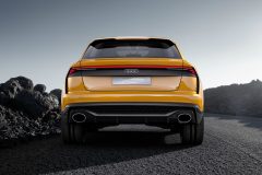 Audi Q8 sport concept 2017 (10)