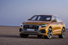 Audi-Q8-1