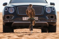 Bentley Bentayga Falconry by Mulliner 2017 (2)