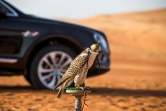 Bentley Bentayga Falconry by Mulliner 2017 (3)