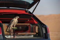 Bentley Bentayga Falconry by Mulliner 2017 (5)