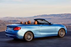 BMW 2 Serie Cabriolet 2017 (18)