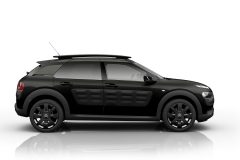 Citroën C4 Cactus OneTone 2017 (2)