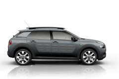 Citroën C4 Cactus OneTone 2017 (8)