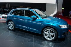 GIMS (14)