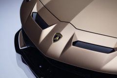 GIMS (27)