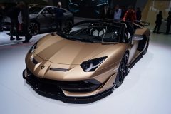 GIMS (28)