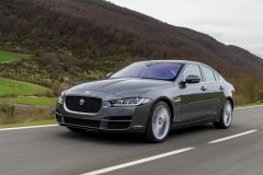 Jaguar XE 2015 (246)