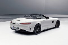 Mercedes-AMG GT C Roadster Edition 50 2017 (2)