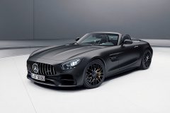 Mercedes-AMG GT C Roadster Edition 50 2017 (5)