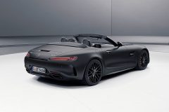 Mercedes-AMG GT C Roadster Edition 50 2017 (6)