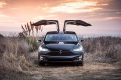 Tesla Model X 2016 (6)