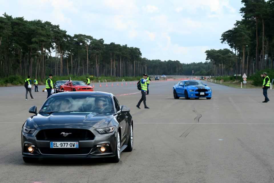 Ford Mustang 1001