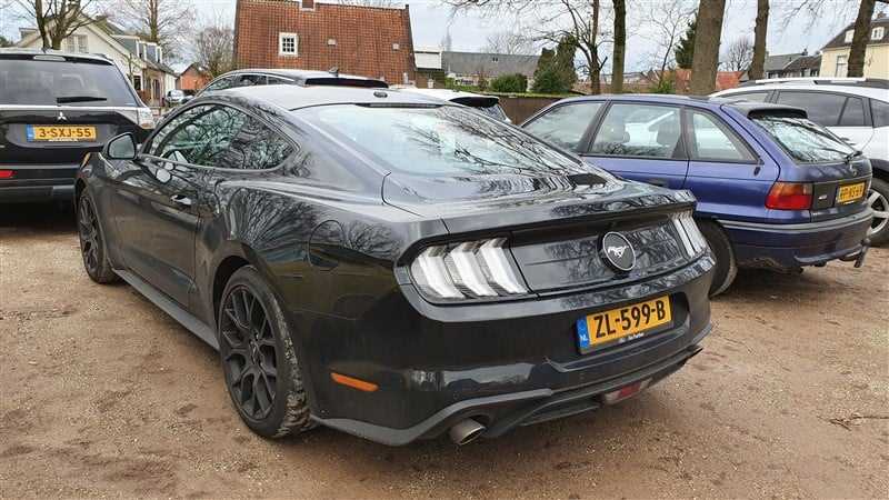 Ford Mustang Mach E Alles Wat Je Moet Weten En Meer Meest Bestelde Uitvoering Kleur Etc Dagelijksauto Nl