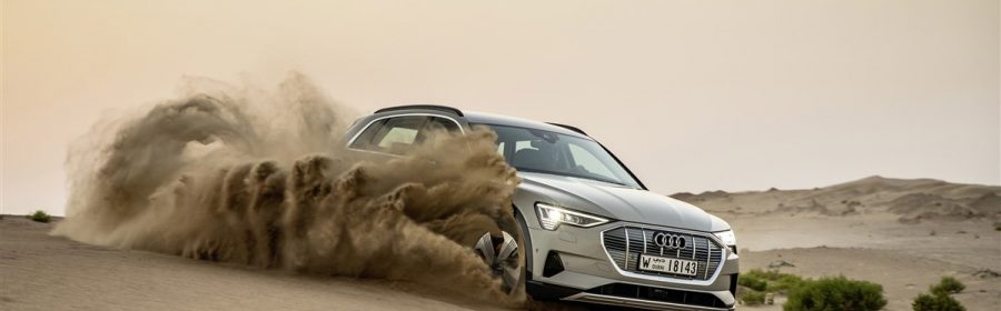 elektrische auto vakantie
