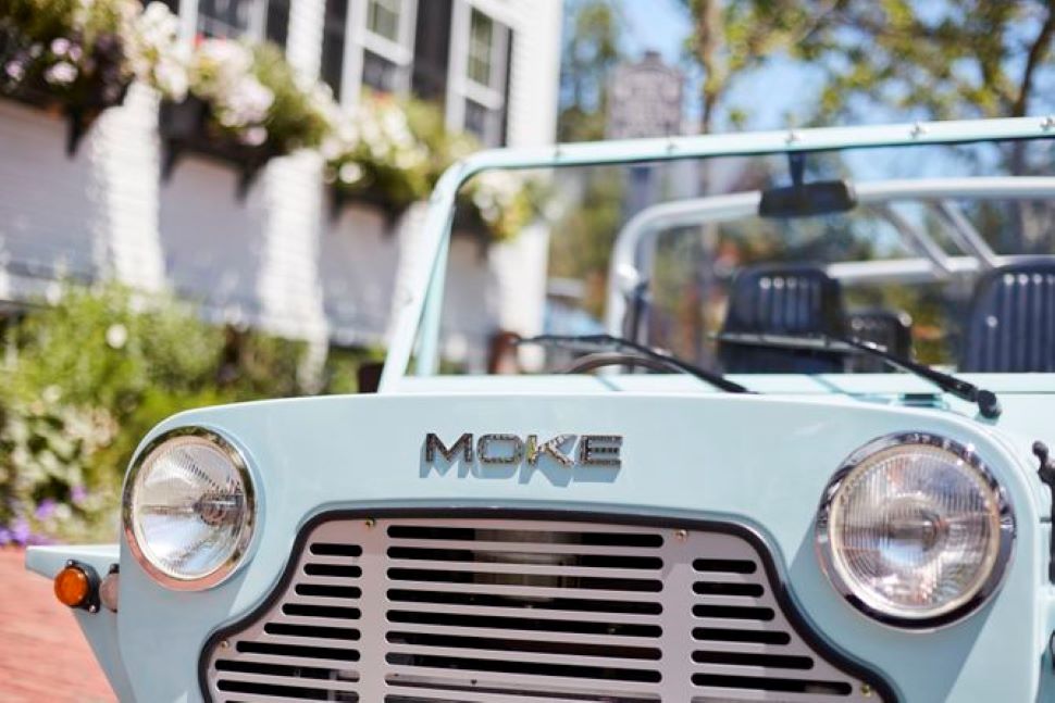 Moke logo